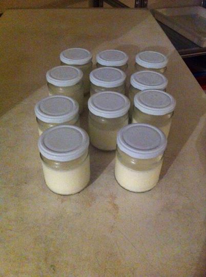 Come preparare un gustoso Yogurt in poche semplici mosse